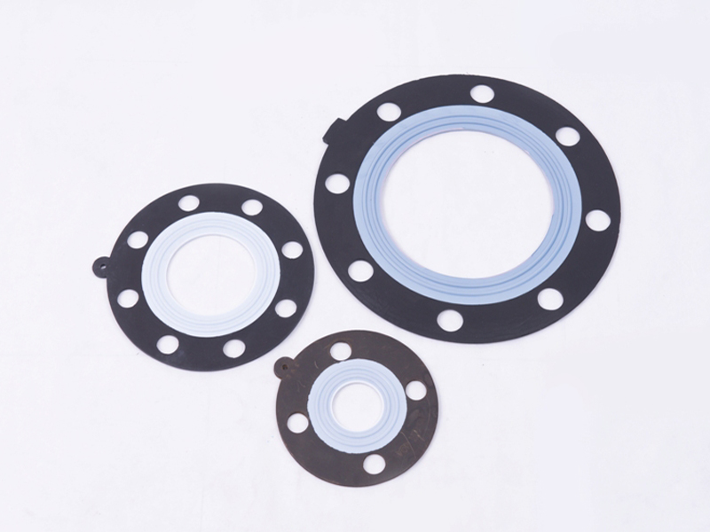 Teflon gasket sheet-EVERSUPP TECHNOLOGY CROP